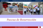Pascua de Resurrección 2407.pdf · central y más grande de nuestra fe, la Resurrección de nuestro Señor Jesús. Se celebra la Pascua de Resurrección cuando afirmamos con alegría