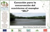 Concesión para la conservación del ecosistema el manglar ...cpps.dyndns.info/cpps-docs-web/planaccion/docs2016... · Concesión para la conservación del ecosistema el manglar “JELÍ”