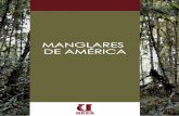 MANGLARES DE AMÉRICArepositorio.uees.edu.ec/bitstream/123456789/3144/1/Libro... · 2019-11-20 · Manglares de América Natalia Molina Moreira Más del 50% de la población humana,