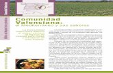 Guía de las mejores Frutas y Hortalizas · 2009-01-14 · se ha instalado el riego localizado en el 67% de la su perfi cie de riego de la Comunidad Valenciana, lo que sitúa a esta