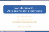 Nanofabricació: Aplicacions per Biosensors · Microscopi electrònic x 27.000.000 Microscopi d’efecte túnel x 300 Microscopi òptic. XXXVIII - Universitat Catalana d’Estiu 6/60