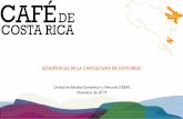 Presentación de PowerPoint - ICAFE · Letra Avenir Ventas de Café Verde (Oro) por Tipos Coto Brus, Cosechas 17-18 y 18-19 SHB 32.6% Fuente: Instituto del Café de Costa Rica (ICAFE).