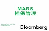 MARS 担保管理 - Bloomberg Professional Services...K // システム構成概念図 ポートフォリオ 管理・時価評価 (MARS) CSA契約管理 (LEDO) 証拠金・担保管理ワークフロー