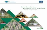 Estado de los Bosques en Europa - ICP Forests · 2018-07-04 · KgC/ha en 2000 Deposición anual media (KgN/Ha por año) Secuestro neto de carbono (KgC/Ha) por los árboles en 6000