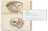 TEMA 7 7. Cabeza.pdf · 2018-01-01 · TEMA 7 CABEZA Osteología, miología y proporciones. Neurocráneo y viscerocráneo Proporciones y módulos. Prof. Dr. D. Ricardo Horcajada González.