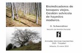 Sección de Gestión Forestal - Vitoria-Gasteiz · 2010-02-23 · U1: height layer 10–19 m; U2: height layer 5–10 m; U3: height layer 2–5 m; saplings: height layer