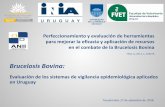 Brucelosis Bovinaºblicos/INIA Tacuarembó... · Brucelosis Bovina: Evaluación de los sistemas de vigilancia epidemiológica aplicados en Uruguay. Tacuarembó, 27 de setiembrede
