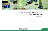 La Industria Química en México Edición 2007centro.paot.org.mx/documentos/inegi/industria_quimica... · 2013-05-02 · ndustria Q uímica en M éxico 2007 . En particular, La Industria