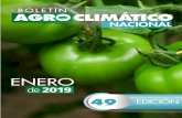 ENERO - Cenipalmageoportal.cenipalma.org/DocsPortal/Boletin49.pdf · BOLETÍN ENERO de 2019 49 EDICIÓN. Esta es una iniciativa que dirige a Colombia hacia una agricultura sostenible