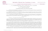 Boletín Oficial de Castilla y León...PARA LA ELABORACIÓN DE HORMIGONES DE ALTAS PRESTACIONES. APLICACIONES EN LA INDUSTRIALIZACIÓN 40.000,00 2.000,00 2.000,00 36.000,00 VA010P17