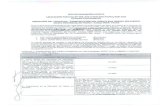 Impresión de fax de página completazonasegura.seace.gob.pe/mon/docs/procesos/2012/000048/222272… · EJECUCIÓN DEL PROYECTO¶ "CONSTRUCCIÓN DEL PUENTE SAN MIGUEL (EX PUENTE VIEJO)