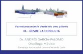 Dr. ANDRÉS GARCÍA-PALOMO Oncólogo Médico · –En las necesidades de consulta: Uso de la mHealth y la WEB 2.0 –En los procesos intermedios: Vías clínicas. Gestión por procesos.