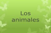 Los animales - WordPress.com · Me gustan los peces . Title: Los animales Author: Sara Montero Created Date: 4/1/2020 11:56:20 PM