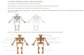 T. P Ne 3. Sistema osteo — artro muscular. 1) ¿cuál es la función de este sistema ... · 2019-06-04 · Sistema osteo — artro muscular. 1) ¿cuál es la función de este sistema?