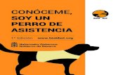 SOY UN PERRO DE ASISTENCIA - CARMcendocps.carm.es/documentacion/2018_Perro_de_asistencia.pdf · perro su distintivo de identificación. - Colocar al perro un arnés o un collar, para