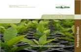 Planes de negocios de dos clústeres forestales en …...1| ONF Andina 2018. Plan de Negocios Orinoquia_ Entregable 1 Misión de Crecimiento Verde Banco Mundial - Departamento Nacional