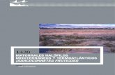 Matorrales halófilos Mediterráneos y terMoatlánticos … · 2018-07-09 · 2 Tipos de hábiTaT cosTeros y halofíTicos / 1420 MatorraLEs haLófiLos MEditErránEos y tErMoatLánticos