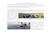 Proyectos de verano del 2019 - Crónicas - Proyde …proyde-proega.org/wp-content/uploads/2019/09/Verano_2019...Proyectos de verano del 2019 - Crónicas Durante el verano seis grupos