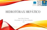 HIDROTÓRAX HEPÁTICOrax... · CASO CLÍNICO •SF. 58 años •AP •LES - Azatioprina, Prednisona •CREST - Sildenafil •SAF secundario –Anticoagulada Cirrosis Biliar Primaria.