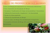 LÍNEAS DE PRODUCCIÓN DEL MANGO › catalogos › MAQUINARIAAGRO... · 2016-07-29 · • Producción Empaque Mango Fresco: 3000-6000 Kg/hora • Días productivos/mes: 22 días