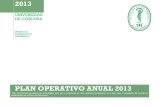 PLAN OPERATIVO ANUAL 2013 - Universidad de Córdoba · 2019-01-21 · PLAN OPERATIVO ANUAL 2013 Este documento presenta las actividades que van a realizarse en una vigencia no superior