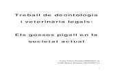 Treball de deontologia i veterinària legals: Els gossos pigall en la … · 2011-10-28 · Gossos de teràpia, aquests no són per persones discapacitades i és dubtós el seu concepte