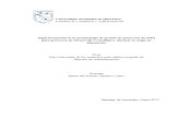 Universidad Autónoma de Querétaro Implementación de la metodología de gestión de ...ri-ng.uaq.mx/bitstream/123456789/1543/1/RI004594.pdf · 2019-05-24 · Implementación de