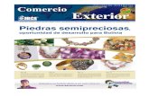 SANTA CRUZ DE LA SIERRA - BOLIVIA • SEPTIEMBRE 2010 • AÑO ... · El Poder de las piedras semipreciosas en el Mundo Principales mercados de Bolivia para las piedras preciosas