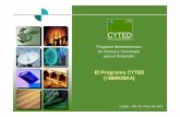El Programa CYTED (IBEROEKA)laboratorios.fi.uba.ar › cididi › webcididi_ENG › foropdf › Presentacion... · Programa Iberoamericano de Ciencia y Tecnología para el Desarrollo