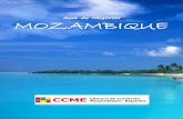 Guía de Negocios MOZAMBIQUE - camaradealava · 2019-04-16 · GUÍA DE NEGOCIOS EN MOZAMBIQUE 6 Presentación La Cámara de Comercio Mozambique - España, organización sin ánimo