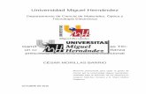 Universidad Miguel Hernándezdspace.umh.es/bitstream/11000/3207/1/TD Morillas Barrio, César.pdf · puede ser presentado a la lectura y discusión ante tribunal en la Universidad
