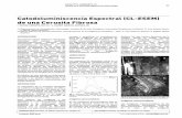 Catodoluminiscencia Espectral (CL-ESEM) de una Cerusita Fibrosadigital.csic.es/bitstream/10261/82663/1/359414.pdf · 2019-08-08 · Catodoluminiscencia Espectral (CL-ESEM) de una