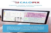 Organiza, visualiza, analiza y comparte tus laminas virtuales.€¦ · CaloPix se utiliza en laboratorios de patología, histología o hematología para administrar todas las imágenes