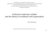 Collective molecular orbitals and the theory of multilevel ... · Collective molecular orbitals and the theory of multilevel self-organization Ivan Denisov ... The fourth phase of