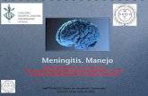 MOLINER-Protocolo manejo Meningitis UCI-Sesion SARTD …chguv.san.gva.es/docro/hgu/document_library... · Incidencia anual de 2-5/100.000 hab en paises desarrollados!! Es una de las