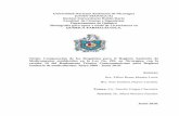 Universidad Nacional Autónoma de Nicaragua (UNAN …repositorio.unan.edu.ni/26/1/85363.pdfFarmacéuticos. Medicamentos de uso Humano. Registro Sanitario. Por tanto resulta de interés,