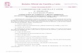 Boletín Oficial de Castilla y León - Somacyl.esANUNCIO de la Sociedad Pública de Infraestructuras y Medio Ambiente de Castilla y León S.A. relativo a la licitación para la contratación,
