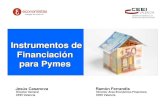 Instrumentos de Financiación para Pymes · Línea ICO – Internacional Financiación, orientada a empresas, autónomos, entidades públicas y entidades sin ánimo de lucro, que