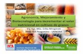 Agronomía, Mejoramiento y Biotecnología para incrementar ...fanus.com.ar/archivos/15-08-03/Lunes_3-Mroginski.pdf · Las deficiencias en micronutrientes pueden estar presentes en