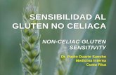 SENSIBILIDAD AL GLUTEN NO CELIACA€¦ · Czaja-Bulsa G. Non coeliac gluten sensitivity - A new disease with gluten intolerance. Clinical Nutrition 2015; 34: 189-194. Tonutti E y