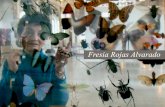 Portada: en el MNHN, doctora Fresia Rojas tras vitrina de ... · Portada: en el MNHN, doctora Fresia Rojas tras vitrina de insectos. Portadilla y contraportada: ejemplares adultos