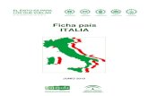 Ficha país ITALIA - Extenda · Ficha País ITALIA Pagina 3 1. INFORMACIÓN GENERAL ITALIA DATOS BÁSICOS 2018 CONCEPTO ITALIA ESPAÑA ANDALUCÍA SITUACIÓN Sur de Europa, en el centro