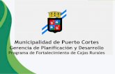Municipalidad de Puerto Cortes...Cajas de Ahorro y Crédito Promoción Social P.M.E.A. Programas Sociales Coordinación para organizar nuevas Cajas rurales o Asesoría Técnica en