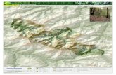 Cartografía Básica Ambiental - Asturias · 2011-04-12 · Red Ambiental de Asturias. GORIFRNO PRINCIPADO DL ASTURIAS ORDENACION DEL TERRITORIO E INFRAESTRUCTURAS ÉSÞÂCi0ÂðiÉGibð