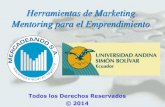 Herramientas de Marketing Mentoring para el Emprendimiento Fernando Zelada.pdf · . Objetivos Básicos de los Emprendedores en la Demanda de Servicios Empresariales DEMANDA EMPRESAR