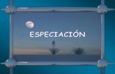 GENOMA Y EVOLUCIÓN - jcyl.esiespoetaclaudio.centros.educa.jcyl.es/sitio/upload/especiacion__cmc… · MICROEVOLUCIÓN Divergencia adaptativa (Ej.: pinzones de las Galápagos) ESPECIACIÓN