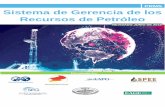 PRMS Sistema de Gerencia de los Recursos de Petróleo€¦ · Sistema de Gerencia de los Recursos de Petróleo.Versión 1.01 1 1.0 Principios Básicos y Definiciones 1.0.0.1 Un sistema