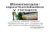 Bioenergía: oportunidades y riesgos · Biocombustibles: el “boom” del momento.....23 LA ACTUAL GENERACIÓN DE BIOCOMBUSTIBLES..... 23 NUEVAS TECNOLOGÍAS PARA LOS BIOCOMBUSTIBLES.....