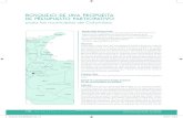 Bosquejo de una propuesta de presupuesto participativo · Bosquejo de una propuesta de presupuesto participativo para los municipios de Colombia. Administración y Desarrollo 47(2),