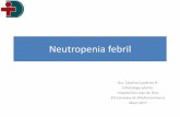 Neutropenia febril - hsjd.cl · –Neutropenia febril previa, procedimientos invasivos, cirugías –Examen físico: Evitar tacto rectal •Exámenes generales: –Hemograma completo,